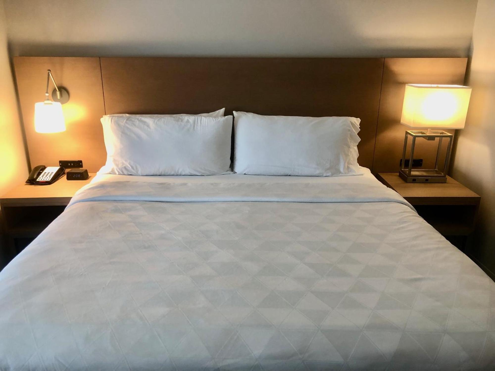 Hotel Holiday & Nw - Willowbrook By Ihg Houston